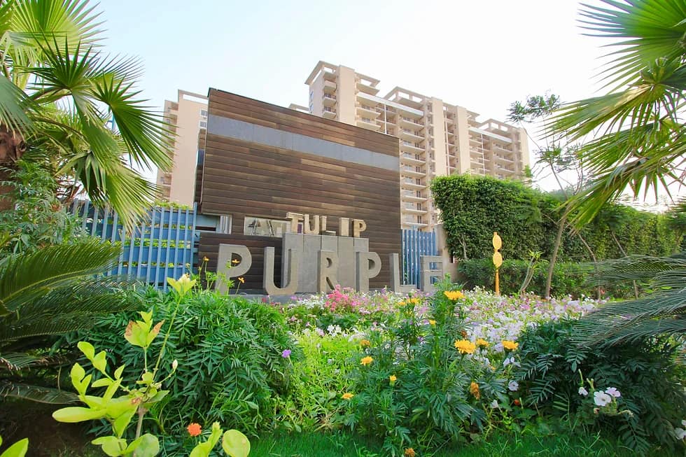 Tulip Purple residential towers in Sector 69, Gurgaon